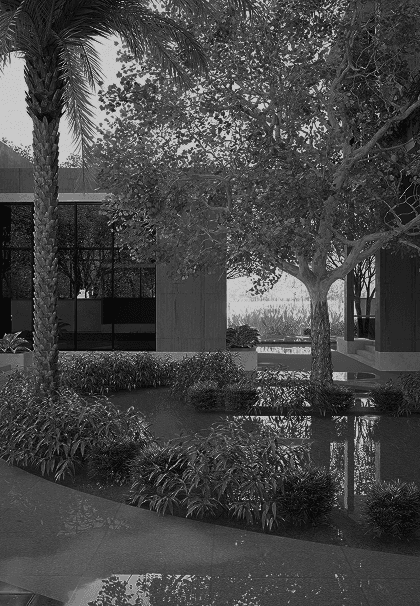 A garden courtyard: palms and dense planting around a still reflecting pool, with a glazed single-storey pavilion behind.